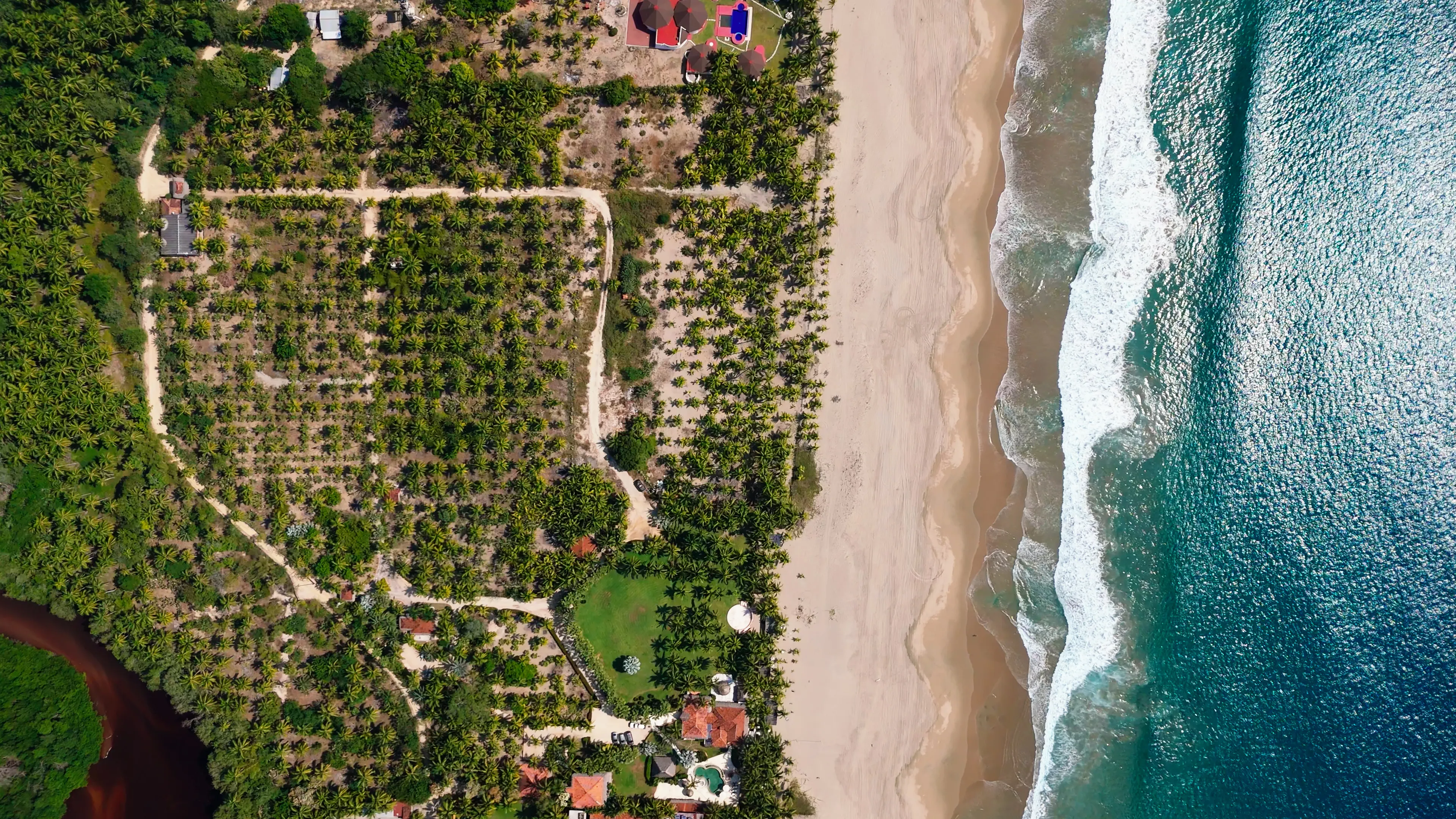 Aerial view of Costa Paraíso coconut grove and beachfront on Playa Larga