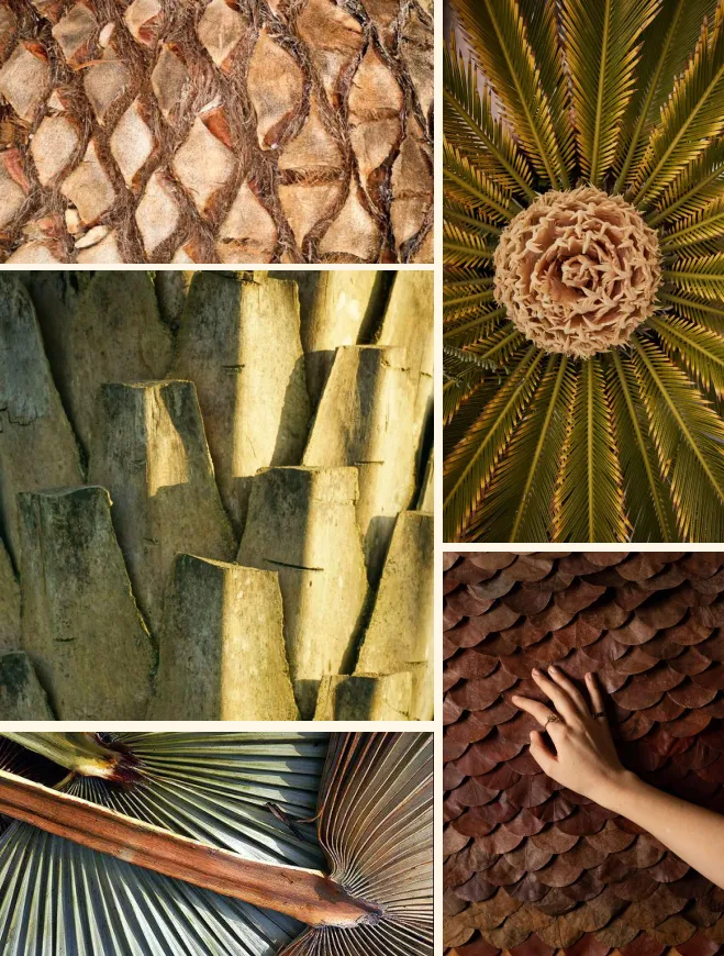 Interior design concept — living area with natural materials and ocean view